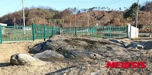 증평 남차1리 거북바위