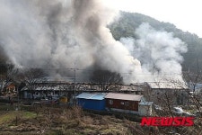 경남 의령군 지정면 돼지축사 화재로 1900여 마리 폐사