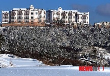 오투리조트 법정관리인 교체