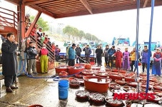 남해군, 새해 수산물 초매식 열어