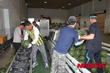 진천군, 친환경 명품 농산물 생산에 124억원 투입