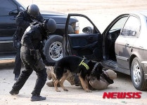 수도방위 이상무!