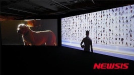 부산시립미술관, ‘비디오 아트, 공간과 이미지 체험’전 개최