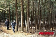 고성 갈모봉산림욕장, 명품 힐링·휴양벨트로 조성