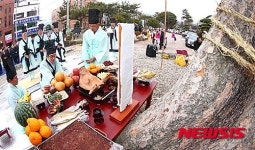 학사루 느티나무 당산제