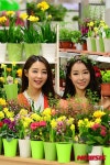 화사한 봄 꽃 구입하세요