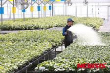 모종에 물 한가득