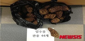 압수한 저가 한약재