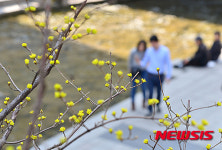 겨울은 가고 봄이 오네