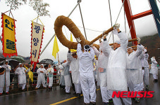 광양매화축제 용지큰줄다리기
