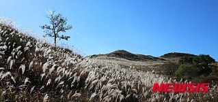 합천군, 2016 경남관광 박람회 홍보관 운영