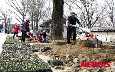 봄옷 입는 전주…전주시, 봄꽃 식재