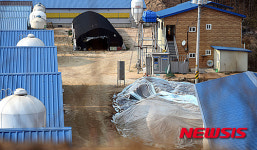 이천 오리 농장, 조류인플루엔자 발생