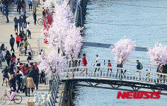 한강 시민공원 나들이