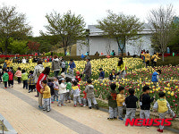 울산대공원 튤립축제