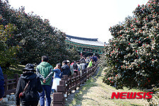 서천 동백정을 방문한 관광객