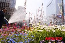 꽃으로 가득한 화단