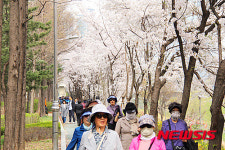 양재천 연인의 거리 촬영명소로 뜬다