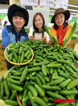 산에서는 미니 오이