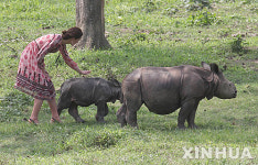 아기 코뿔소 귀엽네 영 왕세손비