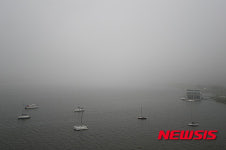 안개 극심