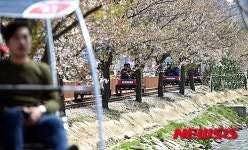 레일바이크 타는 시민들