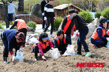 양구군 자원봉사 릴레이 본격 활동