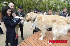 반려견과 즐거운 시간