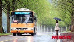 비내리는 가로수길