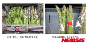 청정 강원 아스파라거스 일본 첫 선박 수출