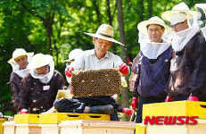 도심 속 자연에서 꿀 채밀해요