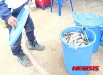 충주 호암지서 외래어종 900㎏ 퇴치