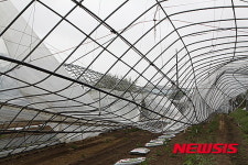 쑥대밭으로 변한 시설재배단지 앞길 막막