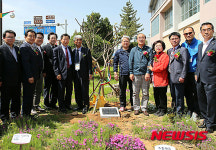 삼척초교, 개교 105주년 기념 표지석 제막식