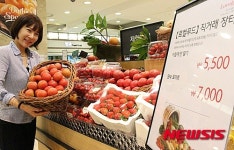 롯데웰푸드(주)롯데백화점 전주점 | 롯데백화점 전주점, "로컬푸드 직거래 장터 방문하세요"