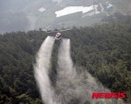 경산시 소나무 재선충병 방제 나서