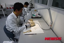 화석·박제 연구실 구경가자 ‘엄마아빠와 함께 만나는 천연기념물’