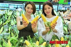 신선한 햇 옥수수 맛보세요