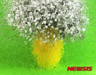 Photo & Art 회원전 “빛 그리고 색의 울림-Flower 01