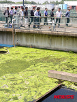 난지 서남 물재생센터 수질합동 현장점검