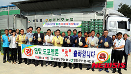 영암 명품 농산물 황토멜론 본격 출하