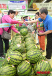 맛찬동이 수박 직판행사