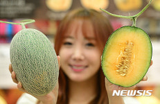 전남 곡성에서 온 하미과 메론