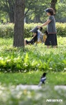 전국 한여름 날씨