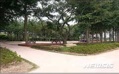 울산시, 태화강 철새공원 내 은행나무 쉼터 조성