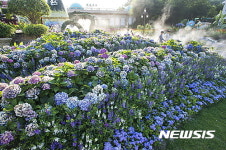 에버랜드 푸른 꽃바다 그랑블루 가든 새롭게 선보여