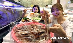 백화점에서 맛보는 산오징어
