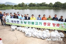 화순 지석천 등에 민물고기 종묘 14만여 마리 방류