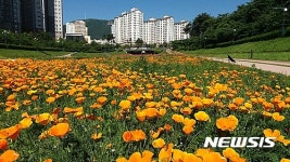 기장군, 좌광천 건강30리길 조성 완료