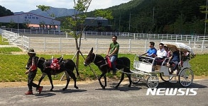 [함안소식]함안승마장 당나귀 마차체험 운영 등